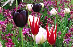 बागवानी में भी खिलेंगे रोजगार के अवसर