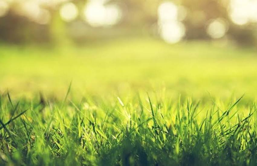 प्रतीकात्मक तस्वीर, फोटो सोर्स- इंडियन एक्सप्रेस