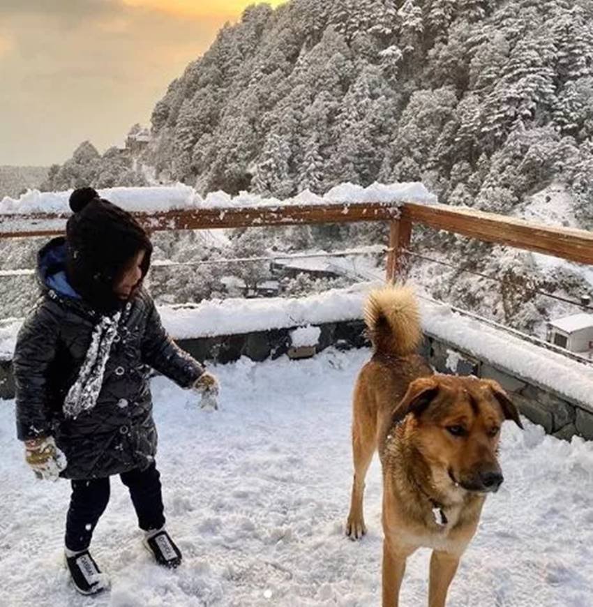 MS Dhoni, Jiva Dhoni, MS Dhoni cricket, MS Dhoni Retirement, MS Dhoni IPL, Mahendra Singh Dhoni, Dhoni video, Ziva Dhoni, Dhoni Sakshi romantic dance, ziva, Sakshi Dhoni, MS Dhoni, MS Dhoni Retirement, Dhoni News, Dhoni New Year, एम एस धोनी, क्रिकेट न्यूज, साक्षी धोनी, एमएस धोनी रिटायरमेंट