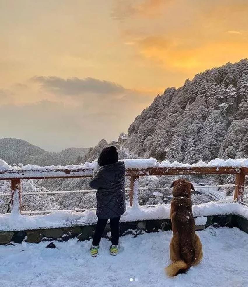 MS Dhoni, Jiva Dhoni, MS Dhoni cricket, MS Dhoni Retirement, MS Dhoni IPL, Mahendra Singh Dhoni, Dhoni video, Ziva Dhoni, Dhoni Sakshi romantic dance, ziva, Sakshi Dhoni, MS Dhoni, MS Dhoni Retirement, Dhoni News, Dhoni New Year, एम एस धोनी, क्रिकेट न्यूज, साक्षी धोनी, एमएस धोनी रिटायरमेंट