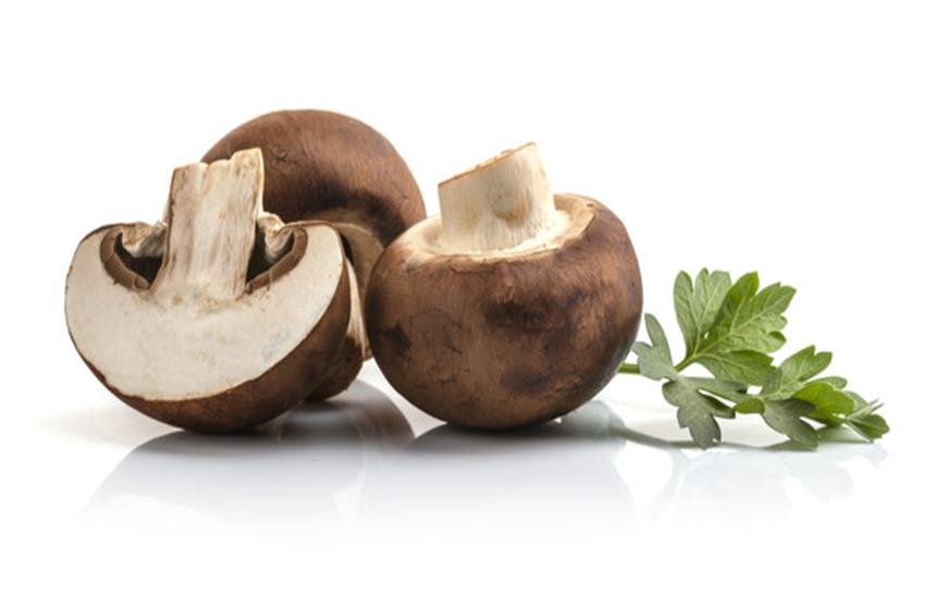 Health Tips, Food Tips, Health Tips in Hindi, Winter Season, Mushroom, Advantage of Mushroom, vitamin d foods, Vitamin D benefits, Advantage of Mushroom in Winter, Vitamin D, Strong Bones, Sources for Vitamin D