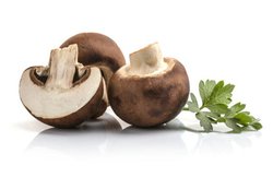 मशरूम को धूप में रखकर तब खाएं, विटामिन D की कमी दूर करने का बेहतरीन उपाय