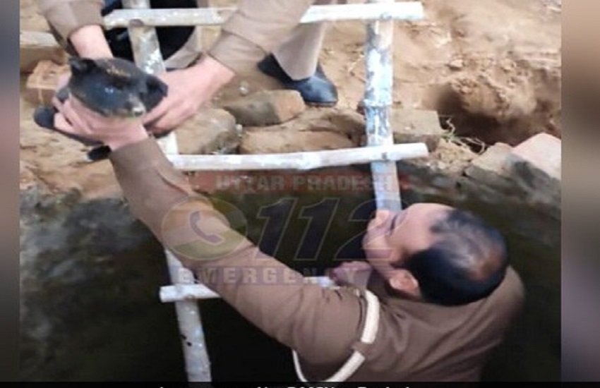 कुत्ते के पिल्ले को कुंए से बाहर निकालते हुए पुलिसकर्मी।, फोटो सोर्स- ट्विटर / call 112