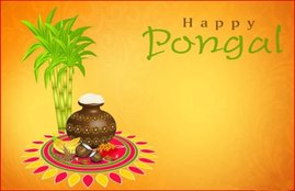 happy pongal, happy pongal 2020, pongal, pongal 2020, happy pongal images, happy pongal images 2020, happy pongal 2020 status, happy pongal wishes images, pongal images, pongal wishes images, pongal quotes, happy pongal quotes, happy pongal wishes quotes, happy pongal wallpaper, happy pongal video, happy pongal pics, happy pongal photos, happy pongal messages, happy pongal sms, happy pongal wishes sms, hapy pongal wishes messages, happy pongal status video, happy pongal wishes status, pongal wishes
