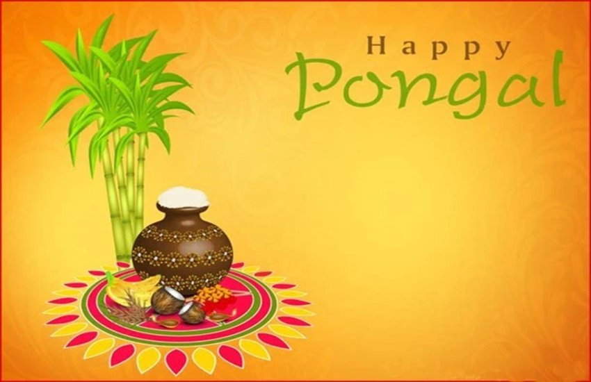 happy pongal, happy pongal 2020, pongal, pongal 2020, happy pongal images, happy pongal images 2020, happy pongal 2020 status, happy pongal wishes images, pongal images, pongal wishes images, pongal quotes, happy pongal quotes, happy pongal wishes quotes, happy pongal wallpaper, happy pongal video, happy pongal pics, happy pongal photos, happy pongal messages, happy pongal sms, happy pongal wishes sms, hapy pongal wishes messages, happy pongal status video, happy pongal wishes status, pongal wishes