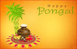 Happy Pongal 2020 Wishes Images, Quotes, Status, Wallpapers: पोंगल यानी प्रकृति को धन्यवाद कहने का दिन, शेयर करें बेस्ट विशेज