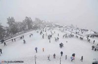 shimla