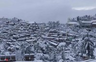 shimla