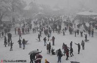 shimla