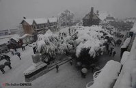 shimla