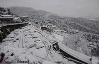 shimla