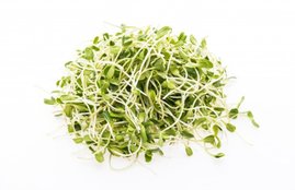 Weight Loss Tips, Weight Loss Tips in hindi, Weight Loss, Sprouts for Weight Loss, Belly Fat, Fat Burn, sprouts for weight loss recipe, sprouts recipe for weight loss in hindi, moong sprouts recipe for weight loss, bean sprouts recipe for weight loss