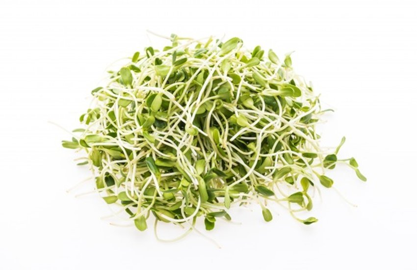 Weight Loss Tips, Weight Loss Tips in hindi, Weight Loss, Sprouts for Weight Loss, Belly Fat, Fat Burn, sprouts for weight loss recipe, sprouts recipe for weight loss in hindi, moong sprouts recipe for weight loss, bean sprouts recipe for weight loss