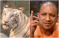 UP: 234 करोड़ रुपए की लागत से गोरखपुर में बनेगा चिड़ियाघर, नाम होगा ‘अशफाक उल्ला खां’