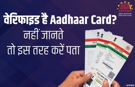 How to verify Aadhaar, Aadhaar Card, Aadhaar, UIDAI, PAN Card, Fake Aadhaar, Plastic Aadhaar, STF, UP STF, Aadhaar Card News, National News, Utility News