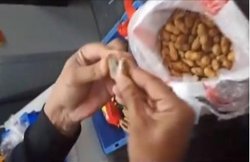 मूंगफली, बिस्कुट के पैक में छिपा कर ला रहा था 45 लाख रुपये की विदेशी करेंसी, CISF ने धरा; देखें VIDEO