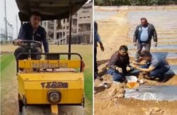 VIDEO: महेंद्र सिंह धोनी के अजीब शौक, तरबूज और पपीता उगाने के बाद अब चलाया पिच रोलर