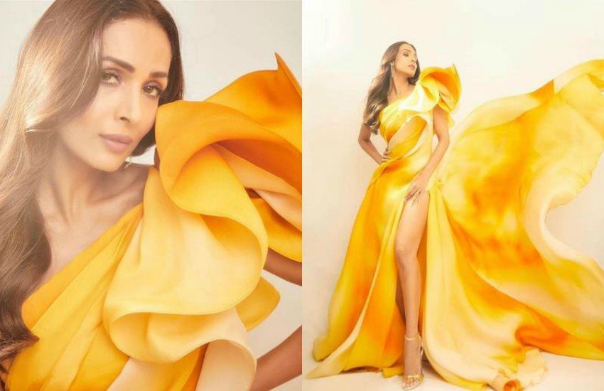 Malaika Arora, मलाइका अरोड़ा, Malaika Arora instagram, malaika arora age, malaika arora husband, Farah Khan, Malaika Arora bold photo, Arjun Kapoor, Entertainment news, Bollywood news, hindi news