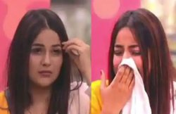 Bigg Boss 13 Finale: बिग बॉस 13 फिनाले से पहले खत्म हुआ शहनाज गिल का सफर!, सिद्धार्थ शुक्ला के साथ आसिम रियाज ट्रॉफी की दौड़ में बरकरार