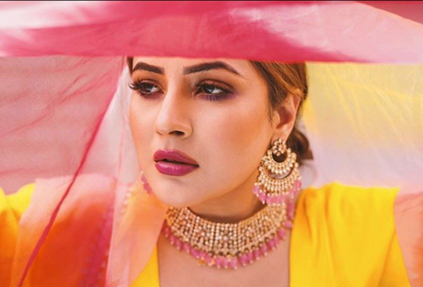 bigg boss, bigg bboss contestants, biggb boss finalist, bigg boss sana, shehnaaz gill life style, Shehnaaz gill real life, luxury life of sana, Sana Profile, Shehnaaz Gill Profile, bigg boss 13, bigg boss 13 winner, bigg boss 13 winner name, bigg boss season 13, bigg boss winner name, bigg boss 13 voot, entertainment news bollywood news, television news