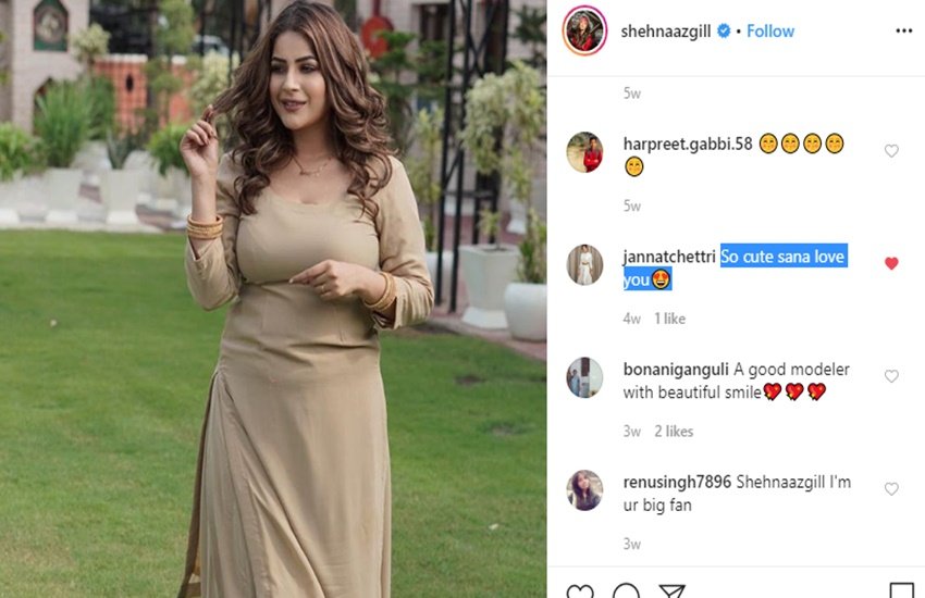 Bigg Boss 13, bigg boss 13 shehnaz gill, bigg boss 13 winner, bigg boss 13 finale, bigg boss 13 winner name, shehnaaz gill, shehnaz gill songs, bigg boss 13 news, bigg boss 13 voting live, bigg boss 13 update