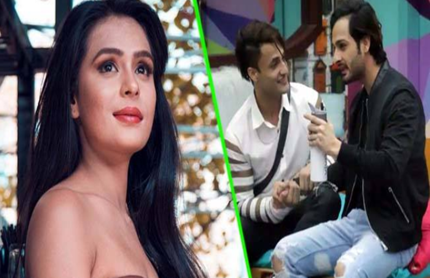 bigg boss 13,Salman khan, asim riaz, asim riaz girlfriend, asim riaz love life, asim riaz brother, umar riaz, Umar riaz wahttsaap chat viral, Sonal Vengurlekar, Sonal Vengurlekar blanmes asim brother, shruti, shruti asim girlfriend,