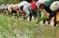 किसानों के लिए सरकार की पेंशन स्कीम, 60 साल की उम्र होने पर 3 हजार रुपये महीना, ऐसे करें रजिस्ट्रेशन