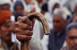 खाप पंचायत ने प्रेमी दंपत्ति को सुनाया गो-मूत्र पीने, गोबर खाने का फरमान, पांच लाख जुर्माना भी