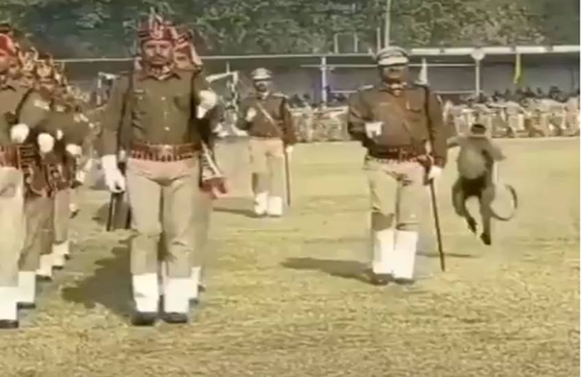 Monkey, Monkey Bites, Monkey Kicks, IPS, IPS Officer, Viral Video, Funny Video, आईपीएस अधिकारी, वायरल वीडियो, पंकज नैन, लंगूर