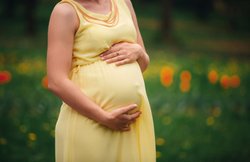 Pregnancy: दाल प्रेग्नेंट महिलाएं में ब्लड प्रेशर को करता है कंट्रोल, मिलते हैं और भी कई फायदे