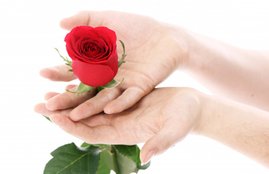 happy rose day, happy rose day 2020, happy rose day images, happy rose day images 2020, happy rose day 2020 status, happy rose day wishes images, happy rose day quotes, happy rose day wishes quotes, happy rose day wallpaper, happy rose day video, happy rose day pics, happy rose day greetings, happy rose day card, happy rose day photos, happy rose day messages, happy rose day SMS, happy rose day wishes sms, happy rose day wishes messages, happy rose day status video, happy rose day wishes status, happy rose day shayari, happy rose day Whatsapp video, happy rose day Whatsapp status
