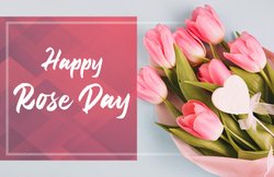 Happy Rose Day 2020 Wishes Quotes, Images, Messages: आपके होठों पर सदा खिलते गुलाब रहें…. इस मैसेज के जरिए अपनों को दें रोज डे की शुभकामनाएं