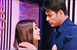 ‘सिडनाज’ के फ्यूचर पर ये बोले सिद्धार्थ शुक्ला, कहा- शहनाज की वजह से ही मेरी…