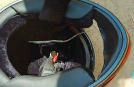 Snake in Helmet, Kerala Snake in Helmet Accident, Helmet Safety guide, Snake in Helmet Video, Most Weired Accident, Krait Snake Found in Helmet