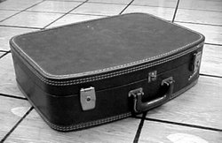 प्रेमी को सूटकेस में बंद कर मार डाला, पकड़ाई तो बोली – लुका-छिपी खेल रहे थे