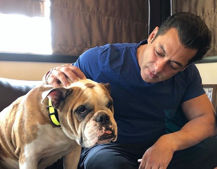 Salman Khan, Supertar salman khan, salman personal life, salman khan house, Galaxy Apartment, 1000 Foot Galaxy Apartment, Galaxy Apartment is very Congested, Superstar Salman Khan Galaxy Apartment, Salman khan Adjusting in Galaxy Apartment, Salman Khan Gym, Salman khan Shoe rack, Salman khan Cloths, Sakman khan dog, entertainment news, bollywood news, ,television news