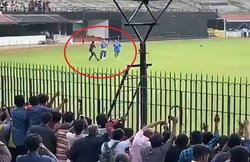 IPL 2020: धोनी-रैना की जोड़ी को चेन्नई सुपर किंग्स ने बताया परफेक्ट-10, जानिए आखिर क्या है माजरा