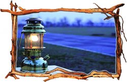 रविवारी: रेणु का हीरा मन