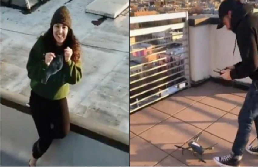 एक लड़की को ड्रोन की मदद से लड़की को दिया अपना नंबर। (Photo: Twitter/ Jeremy Cohen)