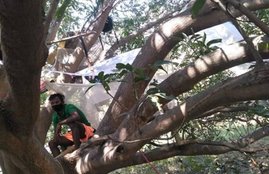 West Bengal, Corona Virus,