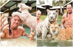 WWE स्टार अंडरटेकर पत्नी संग कर रहे थे स्नान, तभी टाइगर की हुई स्विंमिंग पूल में एंट्री; देखें VIDEO