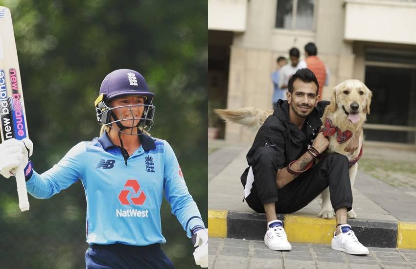 फैंस की डेयिनल वाइट को सलाह, चहल से कर लो शादी और बन जाओ हमारी भाभी