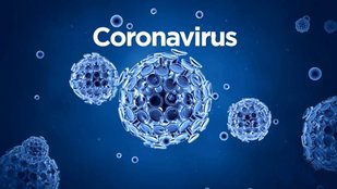 Droom Corona Shield, Droom Corona virus sheild, Coronavirus alert, Coronavirus alert in india, Droom Corona virus sheild, Droom Corona virus sheild, Coronavirus alert in india, Coronavirus sheild for car, Droom Coronavirus shield , Coronovirus death in india, Coronavirus deaths all over the world