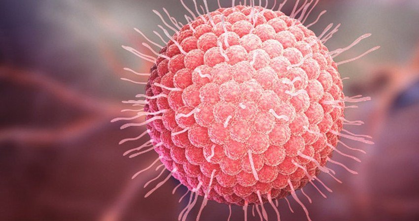 Corona Virus in India: कोरोना वायरस के प्रकोप से पूरी दुनिया दहशत में है। भारत भी इससे अछूता नहीं रहा है। खबर लिखे जाने तक भारत में 76 लोगों के कोरोना वायरस से संक्रमित होने की पुष्टि हो चुकी है। इनमें 59 भारतीय नागरिक हैं जबकि 17 विदेशी हैं। जहां भारत से भी ज्यादा विकसित देश इस खतरनाक कोरोना वायरस के सामने लाचार नजर आ रहे हैं वहीं यहां इससे बचने के लिए गोमूत्र पार्टी का आयोजन किया जा रहा है।