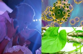 coronavirus, coronavirus latest news, coronavirus news, coronavirus news update, coronavirus prevention, coronavirus infection, coronavirus in india, coronavirus in india news, coronavirus death toll, coronavirus death toll news, coronavirus death toll in india, coronavirus death toll in india, coronavirus in india latest news