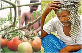 farmer distress