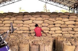food security