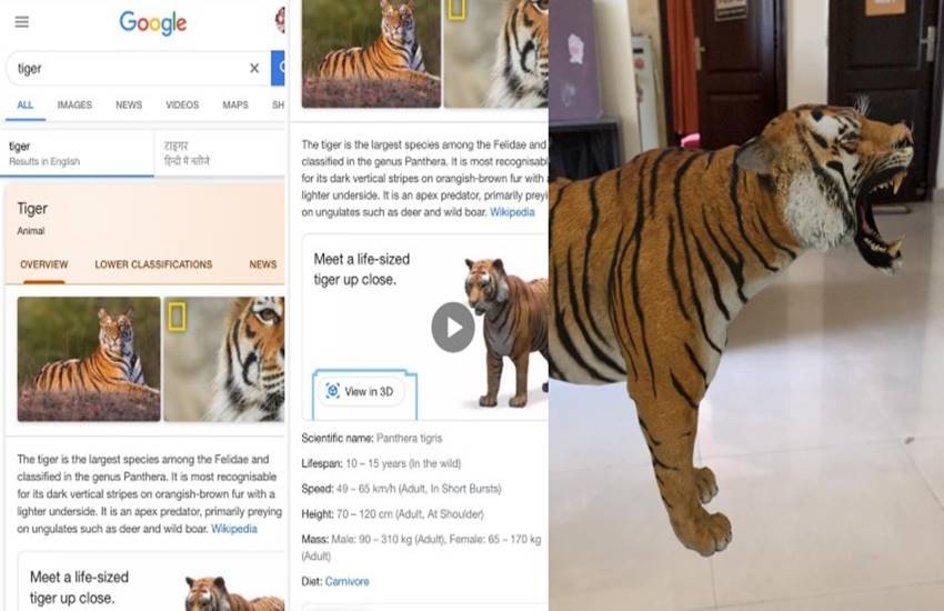Google 3D Animals
