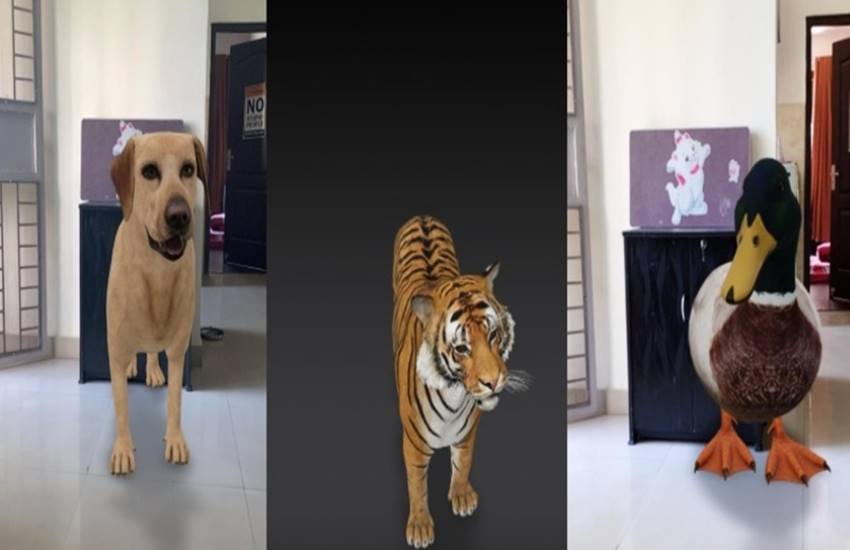 Google 3D Animals