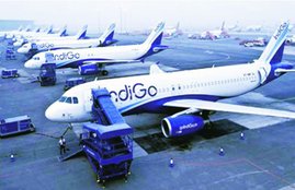 indigo